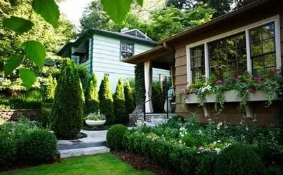 Tala y poda en Altura de árboles en Sevilla y municipios